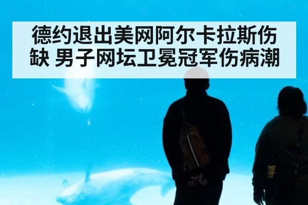 德约退出美网阿尔卡拉斯伤缺 男子网坛卫冕冠军伤病潮